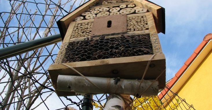 Kleines Insektenhotel